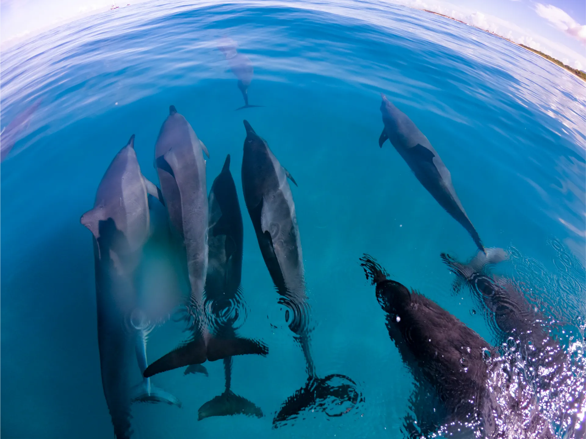 Guests enjoying a Nā Pali Coast boat tour experience